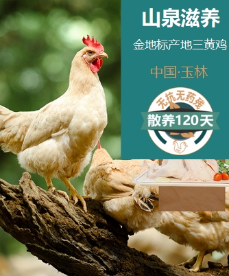 甄選玉林三黃雞
